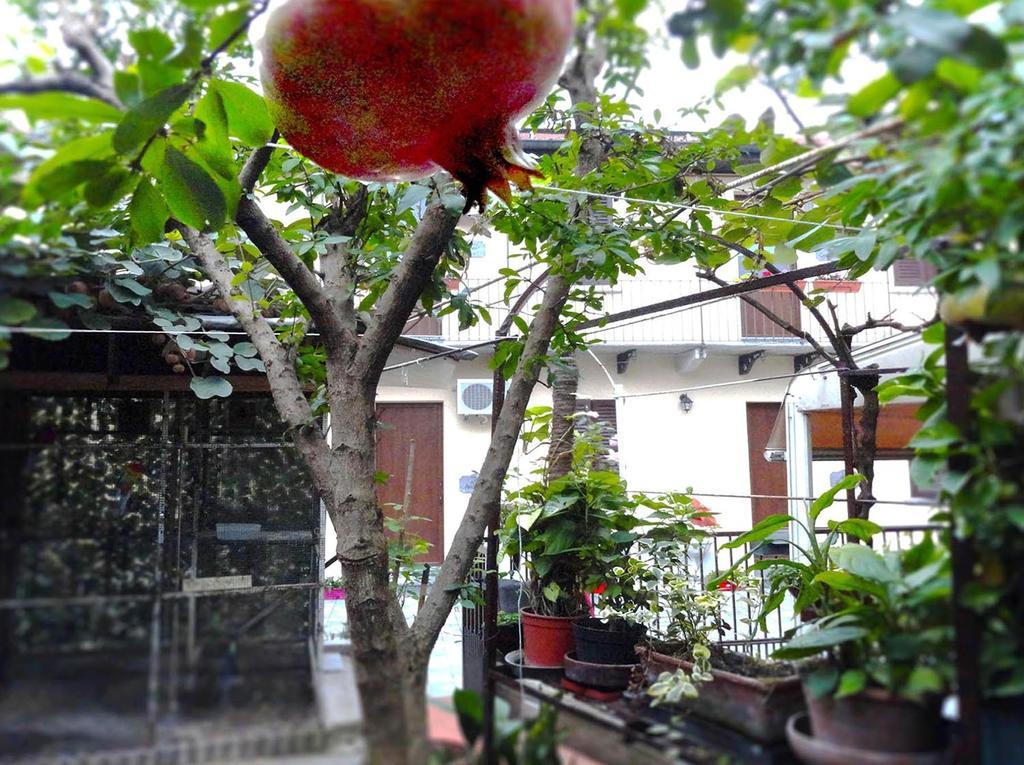 La Casa Di Margit Daire Nova Milanese Dış mekan fotoğraf